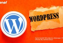Cara Install Wordpress Manager Pada cPanel By SoftaCulous