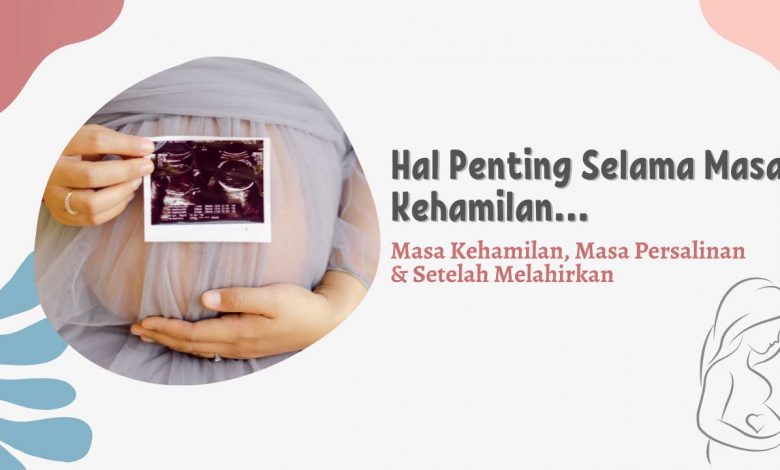 Perawatan Sehari-hari Ibu Hamil, Masa Kehamilan Sampai Melahirkan